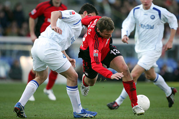 缩头乌龟 缩头乌龟